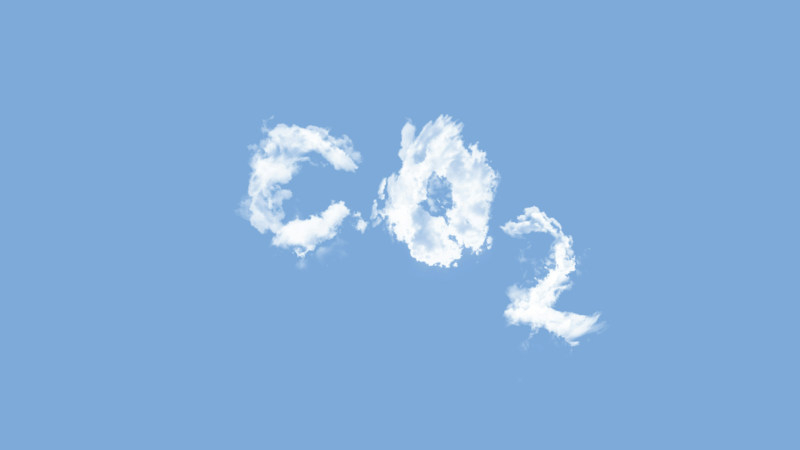 Centinaia di migliaia si sono trasformate in decine di milioni: l'intelligenza artificiale ha accelerato la crescita della domanda di crediti di carbonio tra i giganti tecnologici