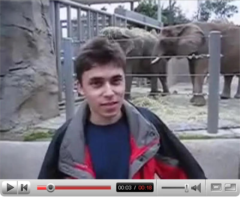 I primi video di YouTube sono entrati nella collezione del museo