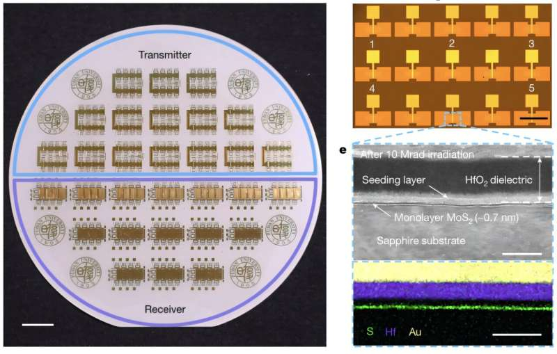 Gli scienziati cinesi hanno creato un'elettronica trasparente per le radiazioni, resistente alla radiazione.