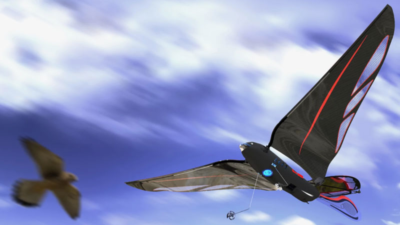 L'ingegnere ha realizzato un uccello robotico da 10 grammi che può raggiungere i 31 km/h e controllato tramite smartphone