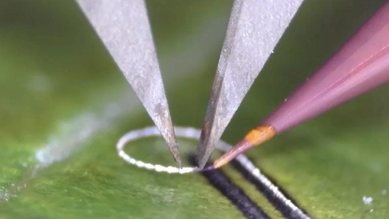 Gli ingegneri hanno creato un dispositivo che consente di applicare componenti elettronici su tessuti viventi e impianti medici senza causare danni