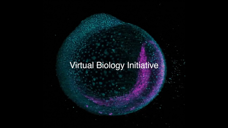 Il Biohub di Mark Zuckerberg ha iniziato ad accelerare la terapia per tutte le malattie utilizzando modelli AI delle cellule