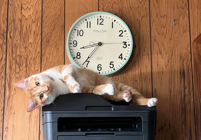 Windows 11 interromperà il supporto per i vecchi driver dei stampanti V3 e V4 con l'aggiornamento successivo